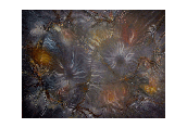 Flora, 48x36, oil on canvas