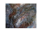 Cosmogony III,28X22,acrylic on mason.
