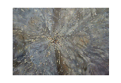 The Moment Before Interference,48x36,oil&acrylic on canvas