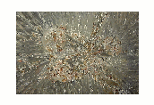 Interference,48x36,oil&acrylic on canvas