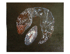 Cosmogony IV,22x20,acrylic on mason.