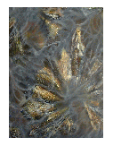Machicolation, 48x36, oil on canvas